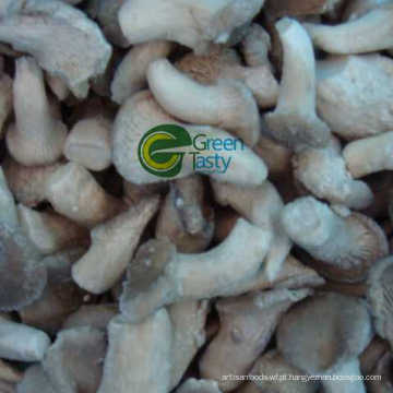 Frozen Baby Oyster Mushroom de IQF New Crop 2015